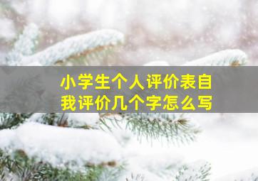 小学生个人评价表自我评价几个字怎么写