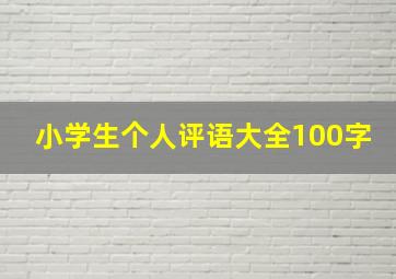 小学生个人评语大全100字