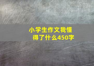 小学生作文我懂得了什么450字