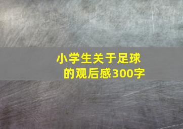 小学生关于足球的观后感300字