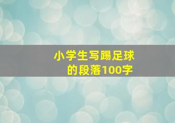 小学生写踢足球的段落100字