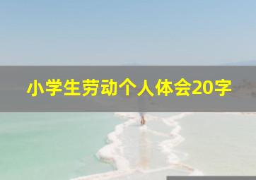 小学生劳动个人体会20字