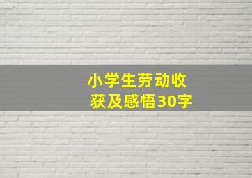 小学生劳动收获及感悟30字