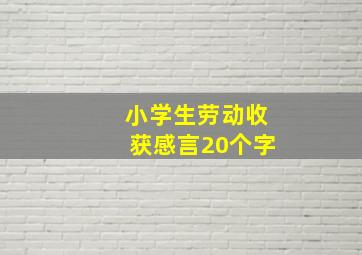 小学生劳动收获感言20个字