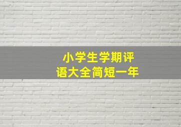 小学生学期评语大全简短一年