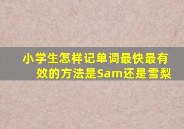 小学生怎样记单词最快最有效的方法是Sam还是雪梨