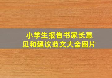 小学生报告书家长意见和建议范文大全图片