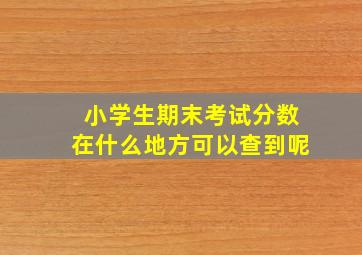 小学生期末考试分数在什么地方可以查到呢