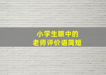 小学生眼中的老师评价语简短