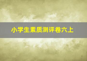 小学生素质测评卷六上