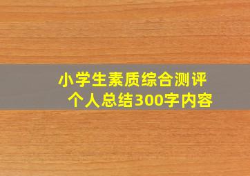 小学生素质综合测评个人总结300字内容