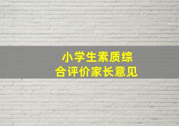 小学生素质综合评价家长意见