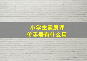 小学生素质评价手册有什么用