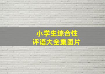 小学生综合性评语大全集图片