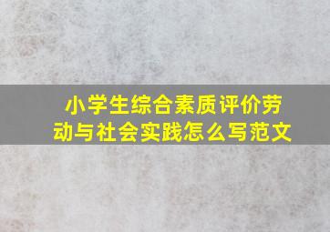 小学生综合素质评价劳动与社会实践怎么写范文