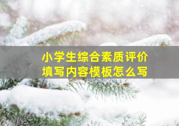 小学生综合素质评价填写内容模板怎么写