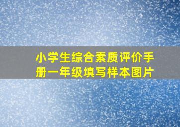 小学生综合素质评价手册一年级填写样本图片