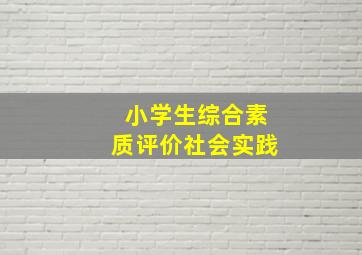 小学生综合素质评价社会实践