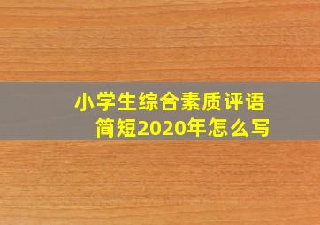 小学生综合素质评语简短2020年怎么写