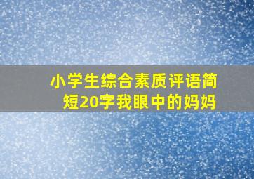 小学生综合素质评语简短20字我眼中的妈妈