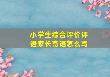 小学生综合评价评语家长寄语怎么写