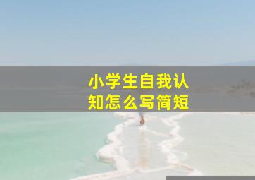 小学生自我认知怎么写简短