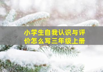 小学生自我认识与评价怎么写三年级上册