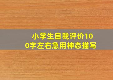 小学生自我评价100字左右急用神态描写