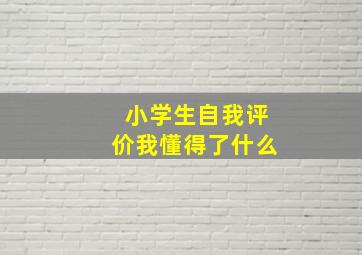 小学生自我评价我懂得了什么