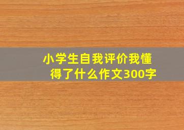 小学生自我评价我懂得了什么作文300字