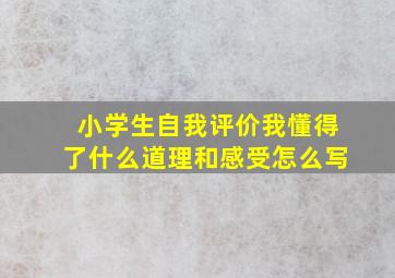 小学生自我评价我懂得了什么道理和感受怎么写