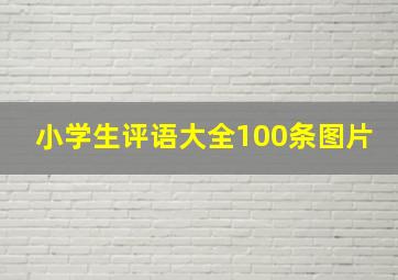 小学生评语大全100条图片