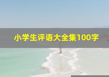 小学生评语大全集100字