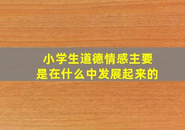 小学生道德情感主要是在什么中发展起来的