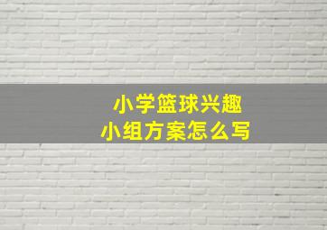 小学篮球兴趣小组方案怎么写