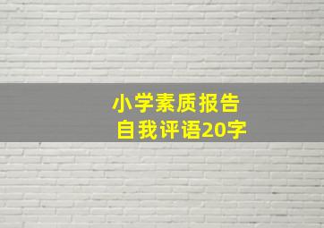 小学素质报告自我评语20字