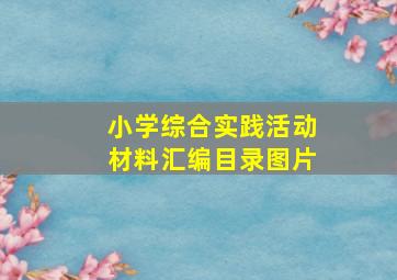 小学综合实践活动材料汇编目录图片