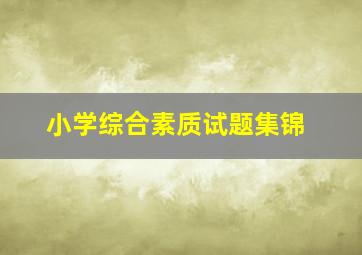 小学综合素质试题集锦