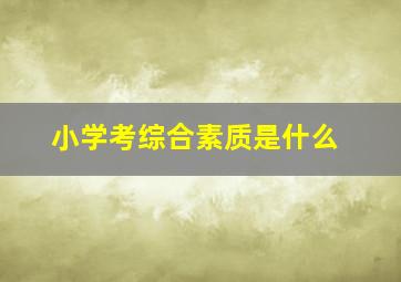 小学考综合素质是什么