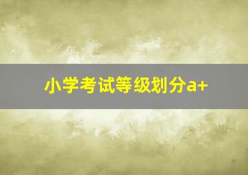 小学考试等级划分a+