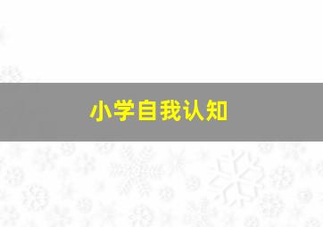 小学自我认知