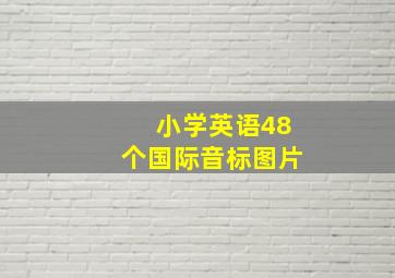 小学英语48个国际音标图片