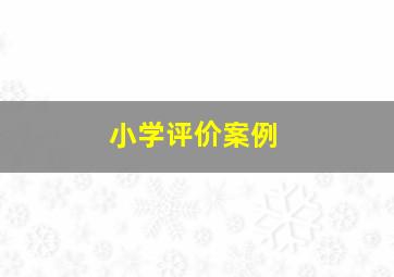 小学评价案例