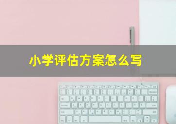 小学评估方案怎么写