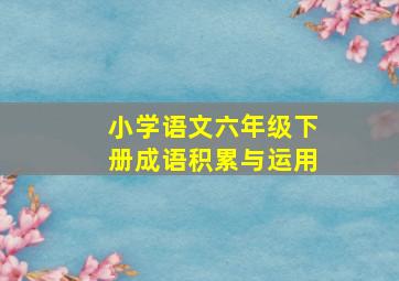 小学语文六年级下册成语积累与运用