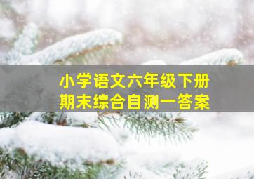 小学语文六年级下册期末综合自测一答案