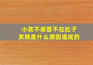 小孩不感冒不拉肚子发烧是什么原因造成的