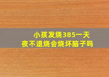 小孩发烧385一天夜不退烧会烧坏脑子吗