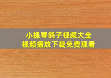 小提琴鸽子视频大全视频播放下载免费观看