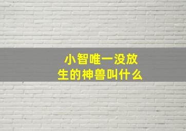 小智唯一没放生的神兽叫什么